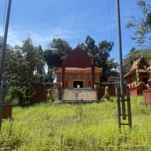 Home visit pagoda with a local guide (based at pagoda beach)